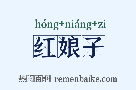 红娘子是什么意思的图片